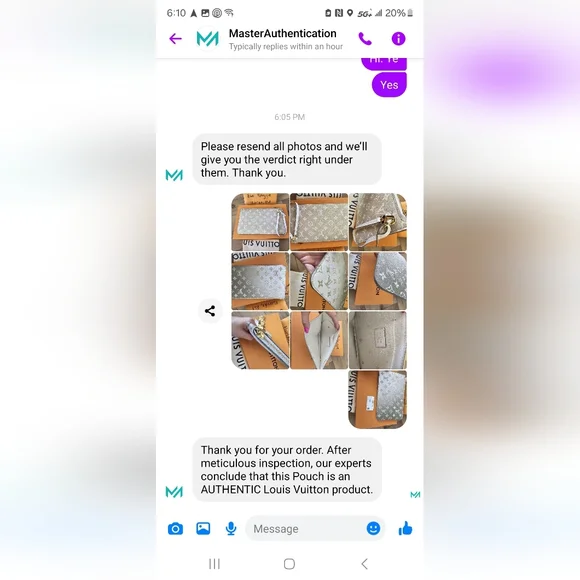 Louis Vuitton Neverfull pouch spring by the city sunset khaki kaki - Picture 10 of 10